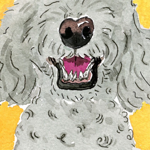 Dog illustration