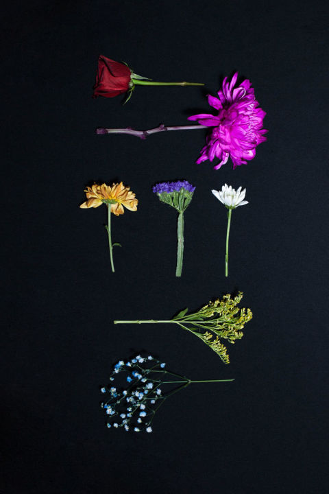 Flowers for Trump: Eva