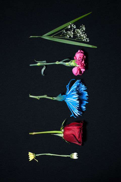 Flowers for Trump: Nancy