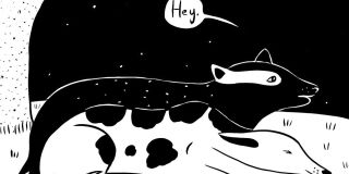 Lesbian Cattle Dogs Have a Night Talk