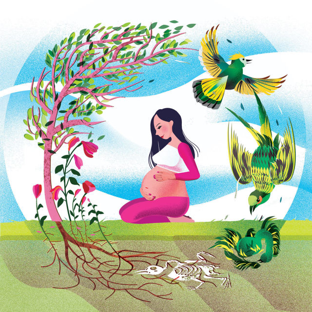 Gestation